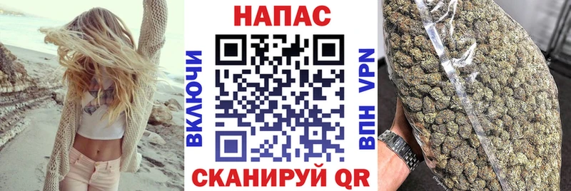 Конопля сатива  Беломорск 